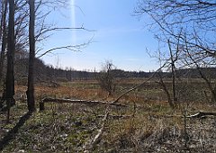 327_p20_IMG_20220421_143907