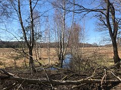 329_iP_220421_IMG_5266