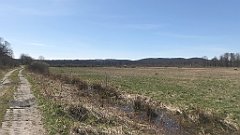 347_iP_220421_IMG_5273