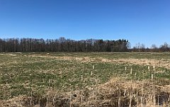 349_iP_220421_IMG_5275