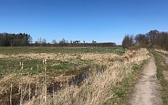 350_iP_220421_IMG_5276