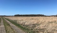 380_iP_220421_IMG_5284