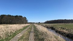 382_iP_220421_IMG_5286