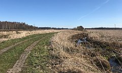 413_iP_220421_IMG_5296