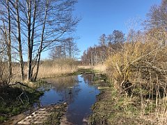 421_iP_220421_IMG_5302