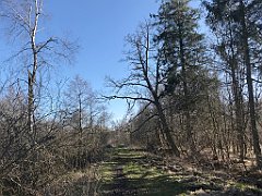 443_iP_220421_IMG_5305