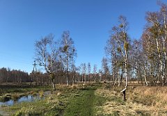 469_iP_220421_IMG_5313