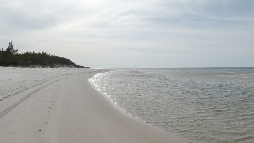 340_TZ90_P1150916.JPG