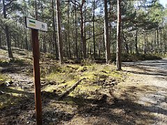 109_p20_IMG_20220510_091048