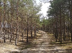 209_p20_IMG_20220510_115248