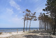 216_p20_IMG_20220510_115632