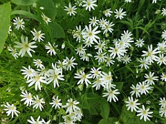 346_p20_IMG_20220517_160342