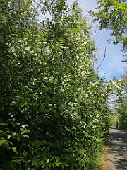 353_p20_IMG_20220517_160527