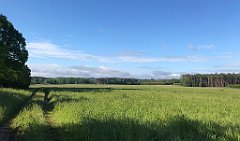 025_iP_220531_IMG_5580