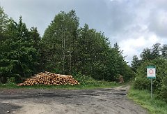 092_iP_220531_IMG_5588