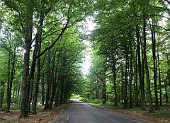 094_iP_220531_IMG_5590