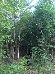 106_iP_220531_IMG_5610