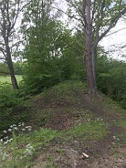 108_iP_220531_IMG_5614