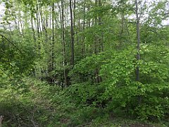 109_iP_220531_IMG_5616