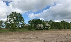 147_iP_220531_IMG_5621