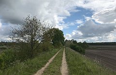 156_iP_220531_IMG_5631