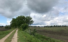 169_iP_220531_IMG_5643