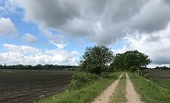 171_iP_220531_IMG_5647