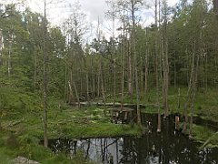 194_iP_220531_IMG_5672