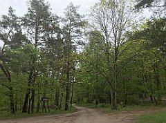 211_iP_220531_IMG_5681