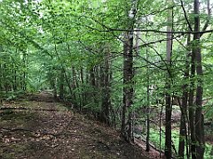 237_iP_220531_IMG_5714