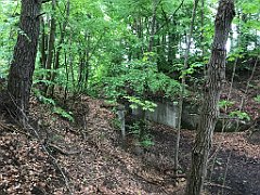 242_iP_220531_IMG_5721