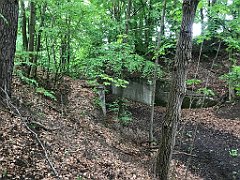 245_iP_220531_IMG_5724