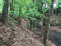 246_iP_220531_IMG_5725