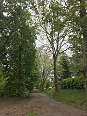 257_iP_220531_IMG_5738