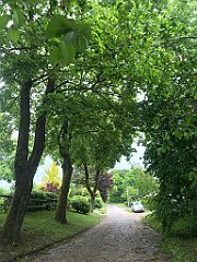 258_iP_220531_IMG_5740