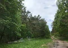 272_iP_220531_IMG_5755