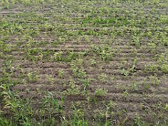 300_p20_IMG_20220531_130123