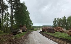 321_iP_220531_IMG_5803