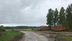 322_iP_220531_IMG_5804