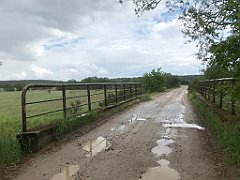 338_iP_220531_IMG_5821