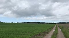 344_iP_220531_IMG_5828