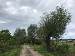 382_iP_220531_IMG_5857