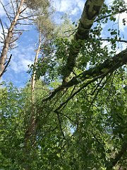 412_iP_220531_IMG_5875