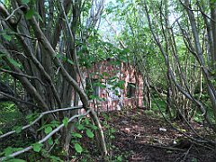 420_iP_220531_IMG_5886