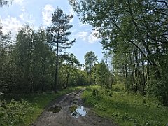 424_iP_220531_IMG_5892