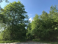 434_iP_220531_IMG_5904