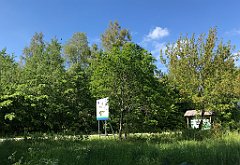 435_iP_220531_IMG_5903