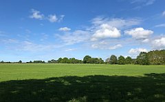 441_iP_220531_IMG_5909