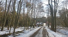 011_0023_3D_P1380374