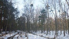 023_0059_3D_P1380386